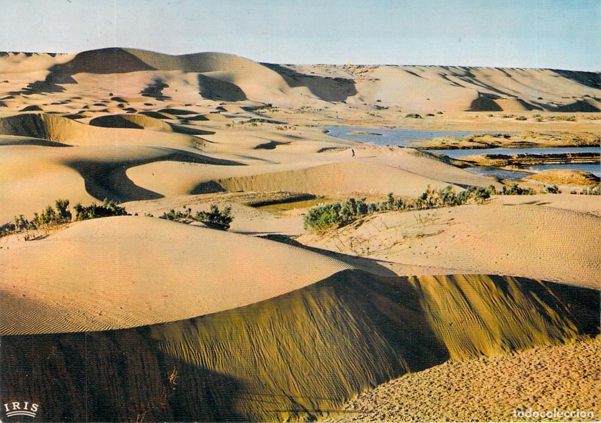 Cartoline: Postal Atardecer en las Dunas de El Aai&uacute;n Sahara Espa&ntilde;ol
