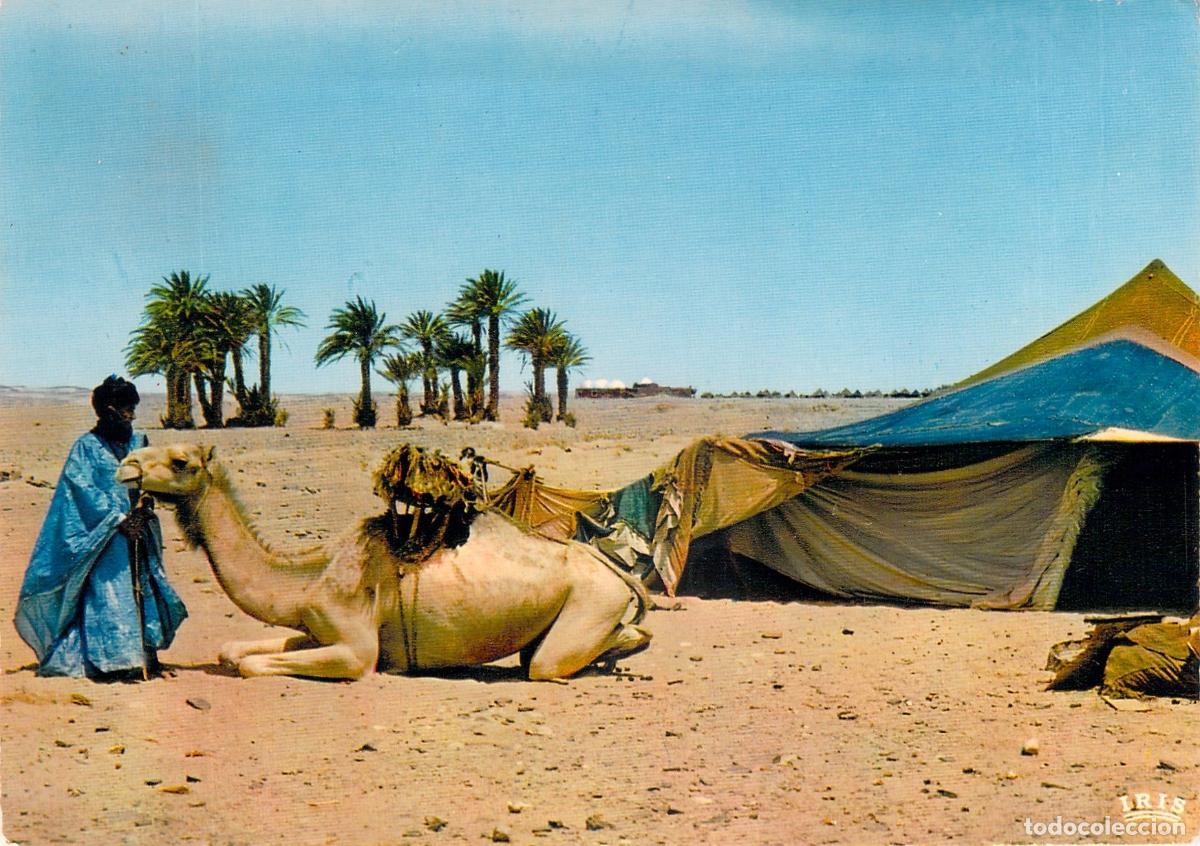 Cartoline: Postal Sahara Espa&ntilde;ol Parada En Una Jaima Con Camello