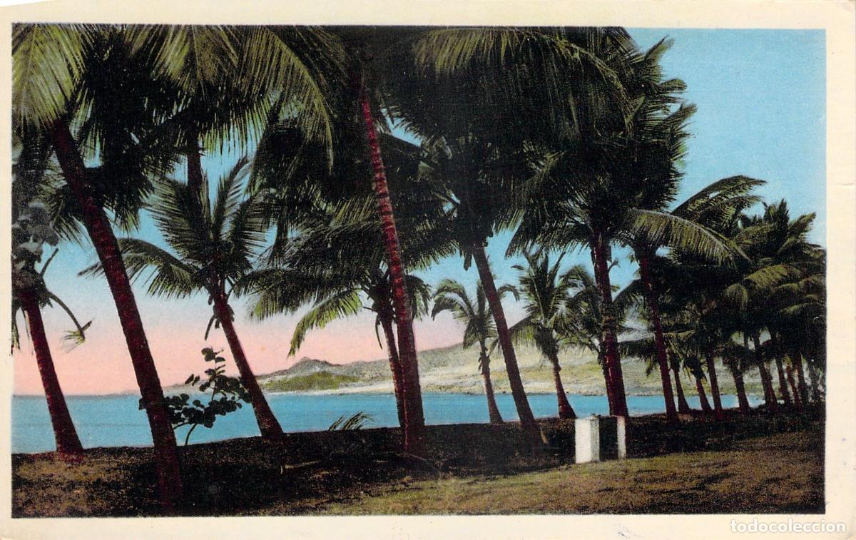 Postales: Postal de la Playa de Martinica con Palmeras