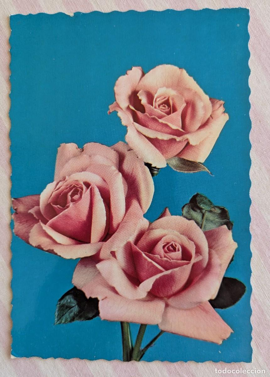 Postales: Postal con Rosas de color rosa. A&ntilde;os 60