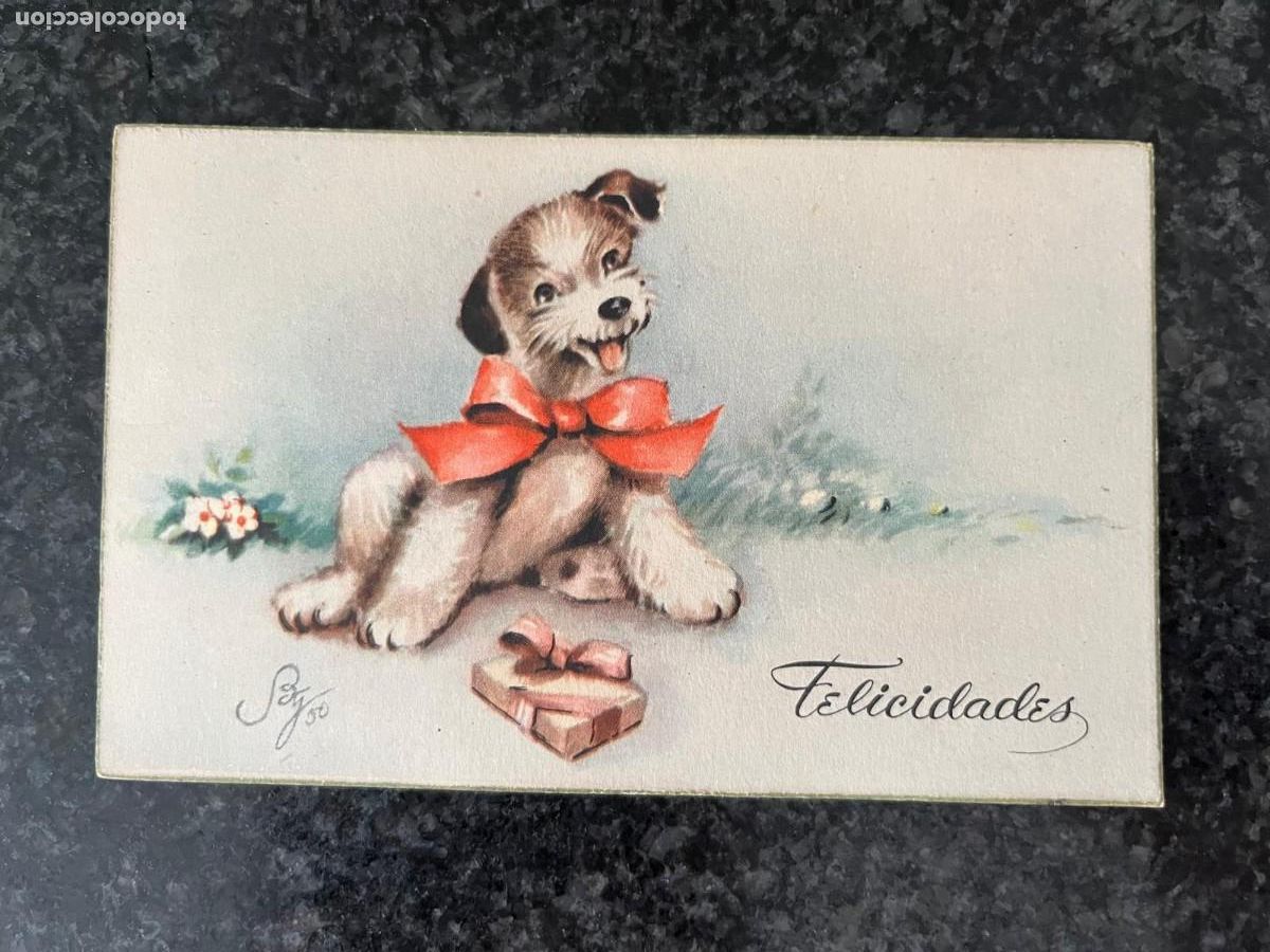 Postales: postal felicidades con perrito escrita