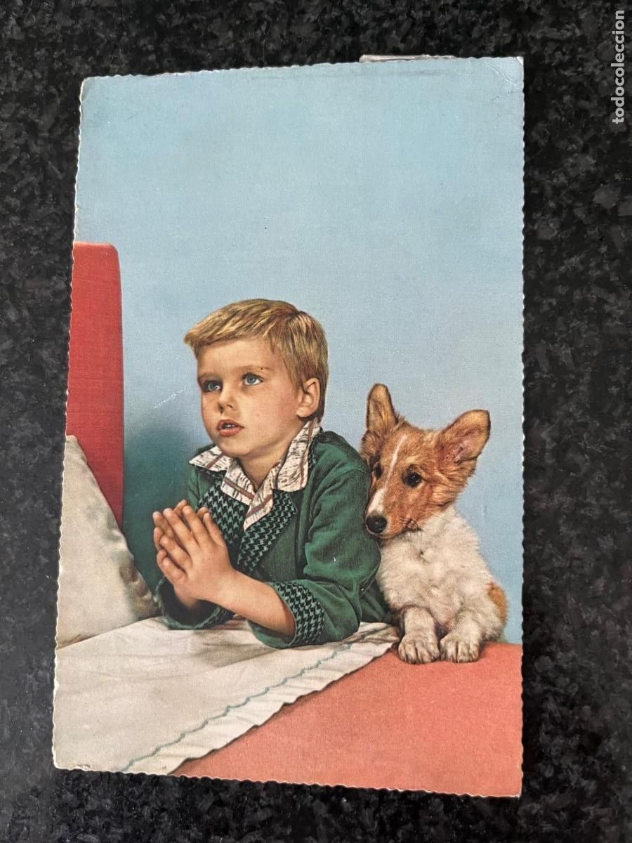 Postales: postal ni&ntilde;o con perrito escrita