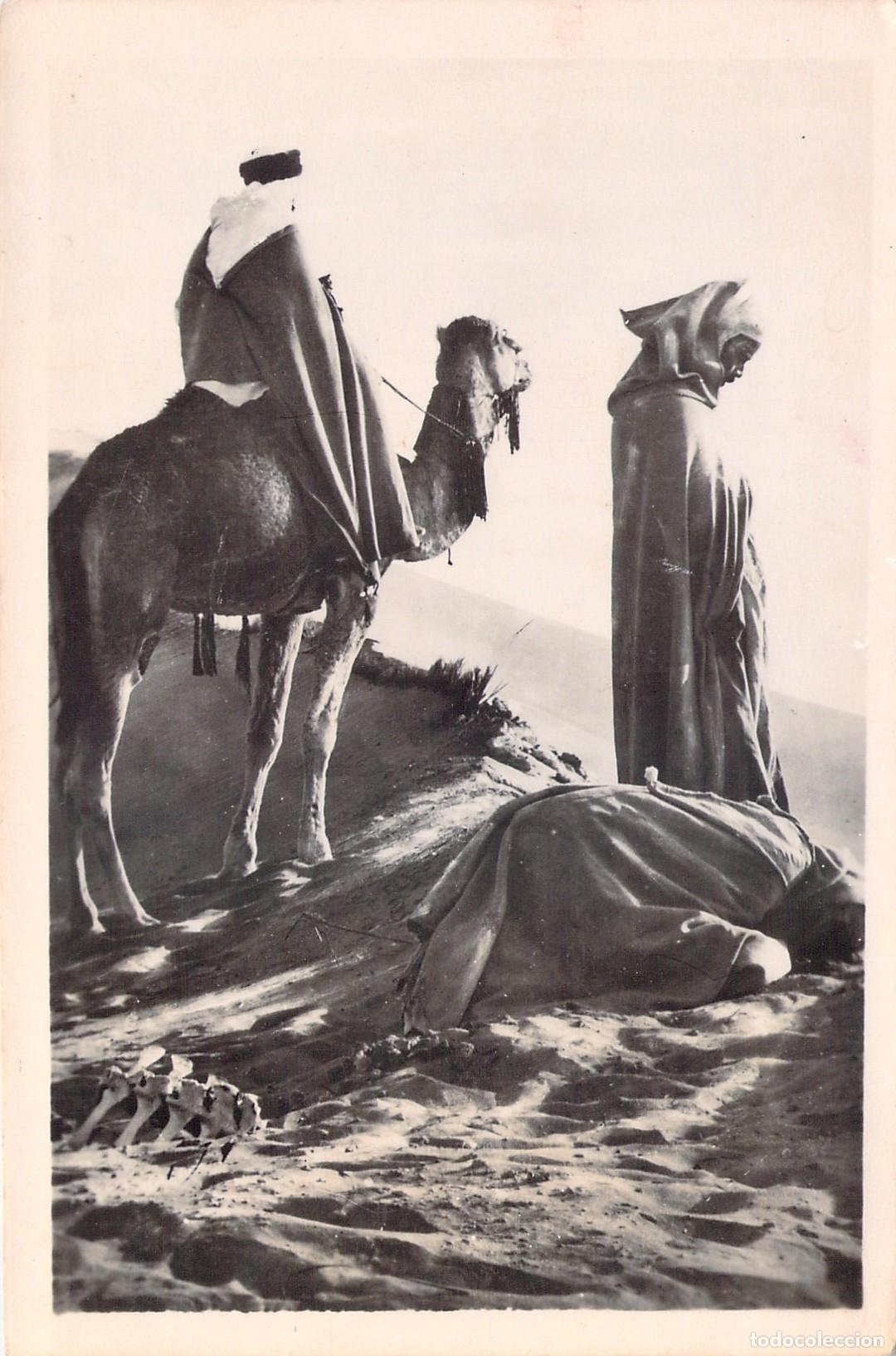 Postales: Postal Argelia La Oraci&oacute;n en el Desierto Escena de &Aacute;frica del Norte