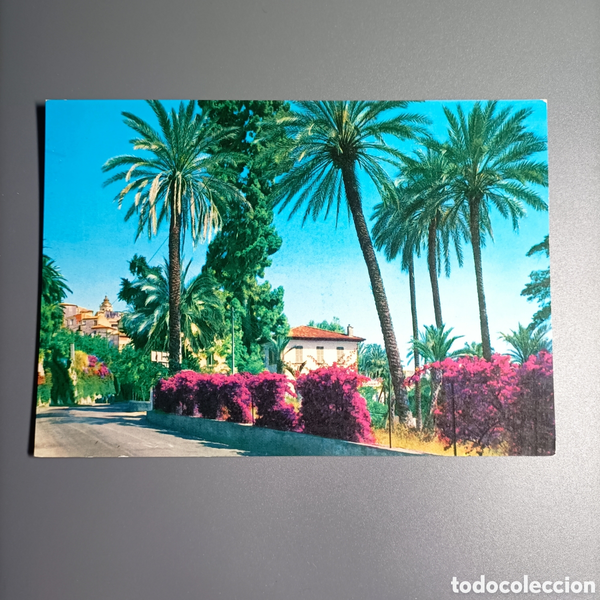 Postales: POSTAL SIN CIRCULAR. №10063 RIVIERA DEI FIORI - BORDIGHERA