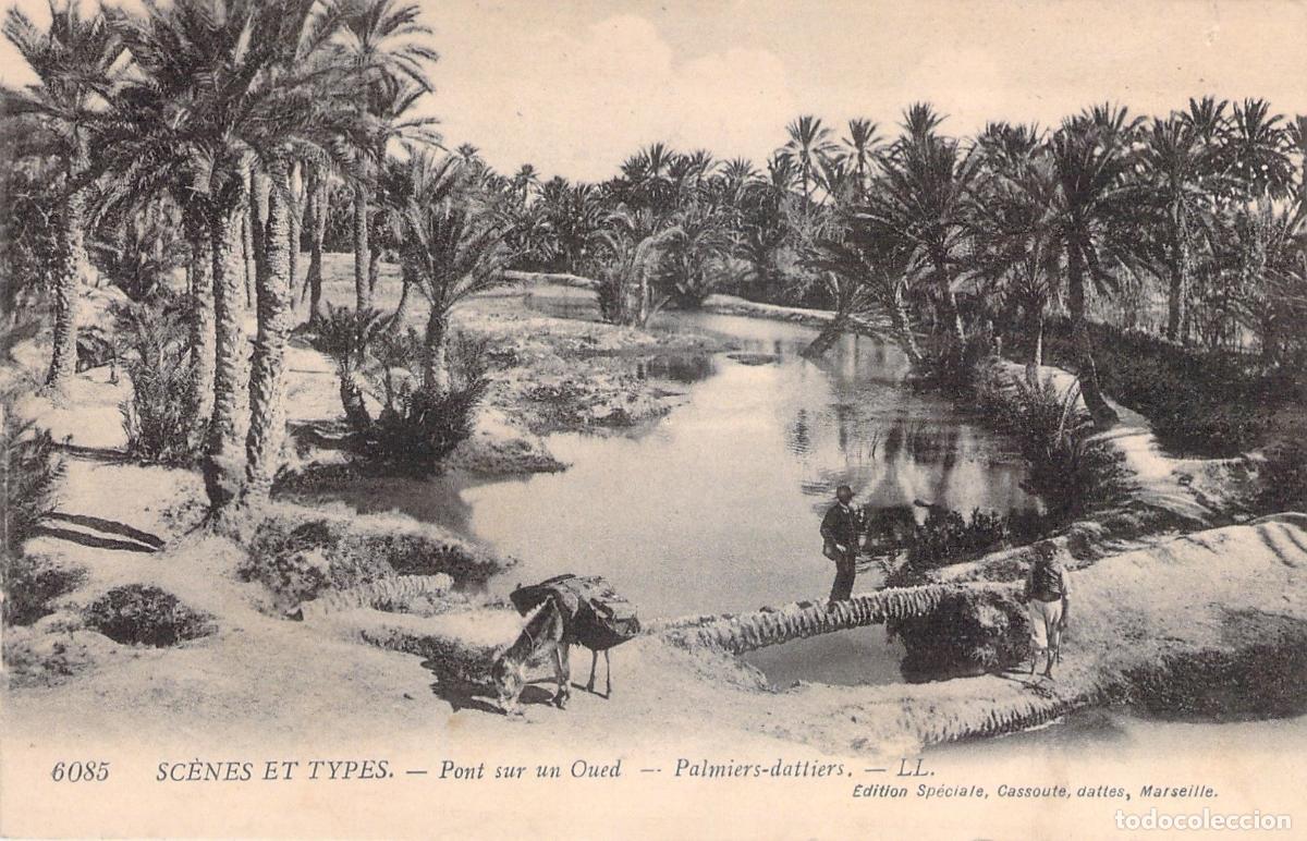 Postales: Postal Puente sobre un Oued con Palmeras D&aacute;tiles Argelia