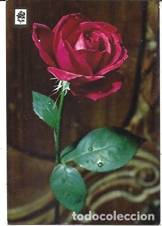 Postales: POSTAL A COLOR SERIE C N&ordm; 14 COLECCION FLORES CEDOSA ESCRITA 1972