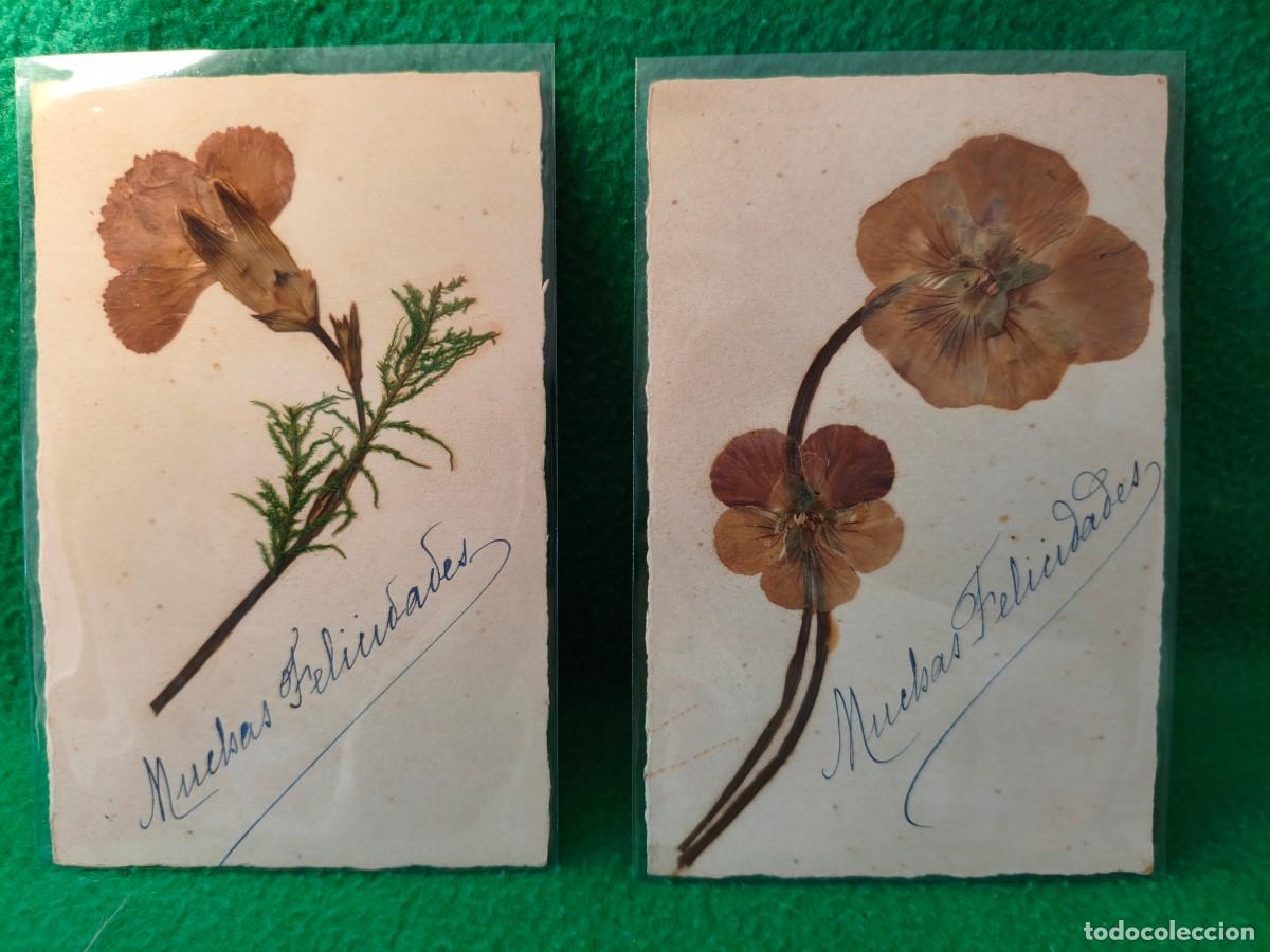 Postales: DOS ANTIGUAS POSTALES FELICIDADES CON HOJAS DISECADAS.