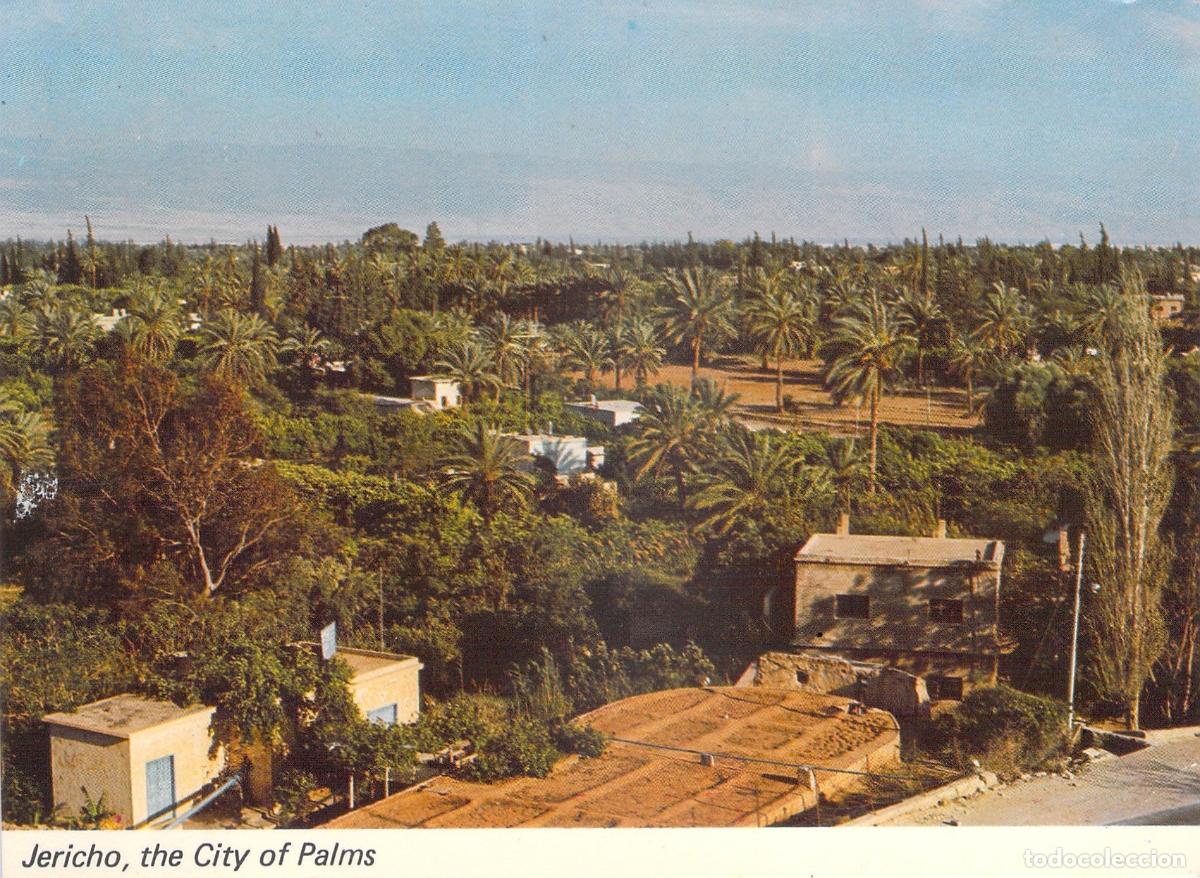 Postales: Postal de Jeric&oacute; Ciudad de las Palmeras Palphot Tierra Santa