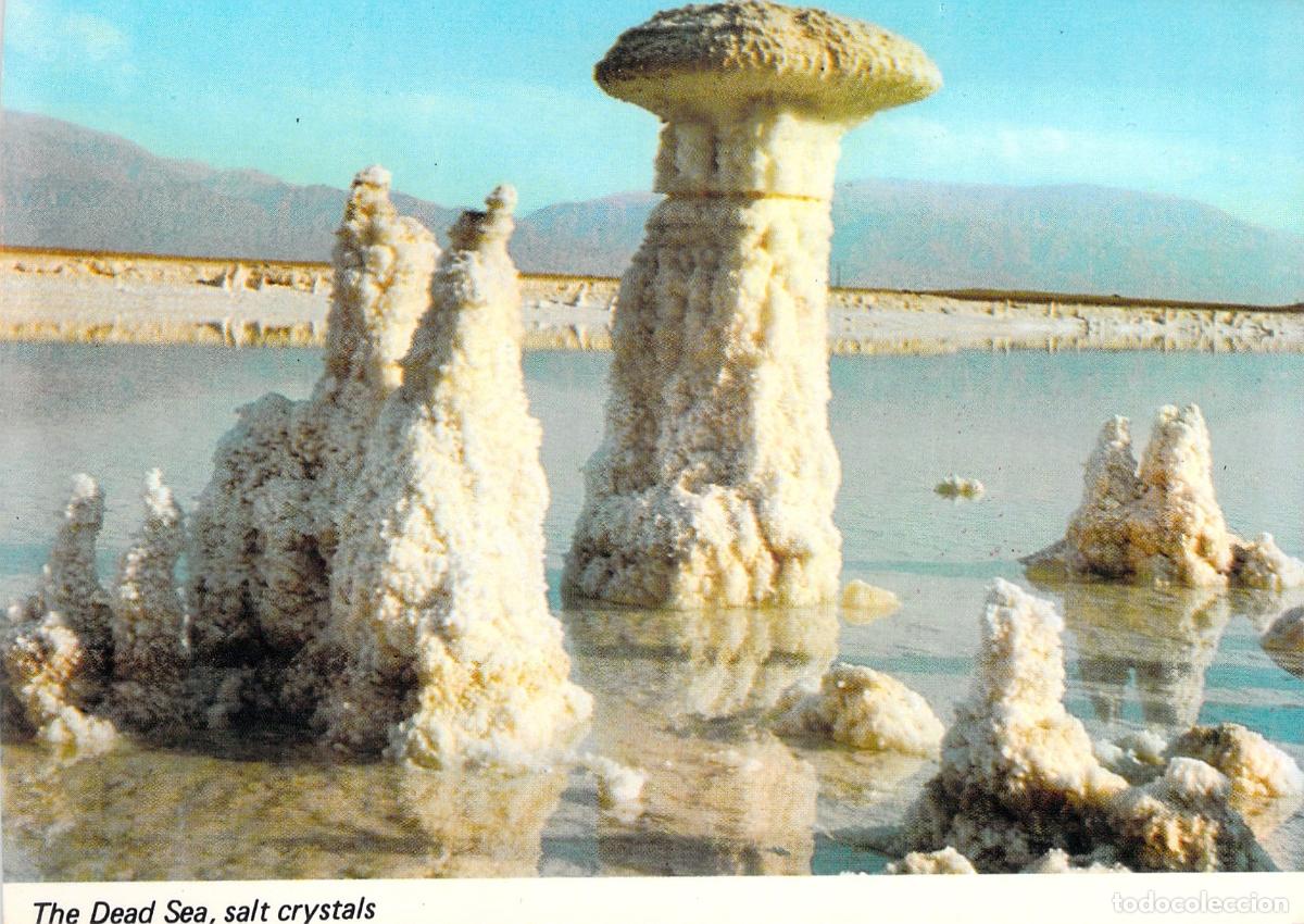 Postais: Postal del Mar Muerto con Formaciones y Cristales de Sal, Israel