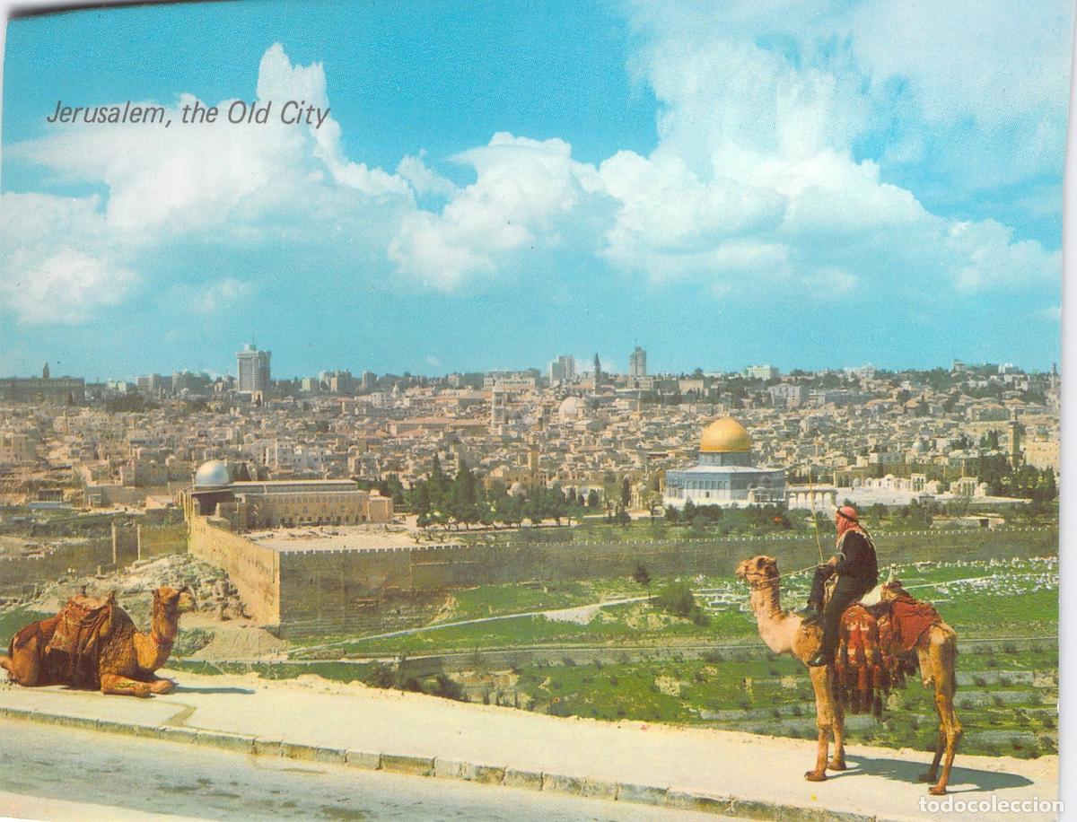 Cartes Postales: Postal de Jerusal&eacute;n y Ciudad Vieja con Camello