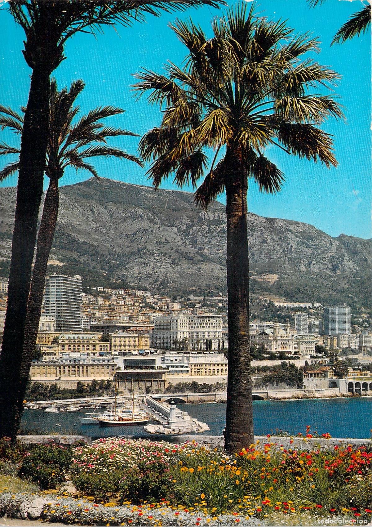 Postcards: Postal de Monte Carlo Vista desde el Pe&ntilde;&oacute;n con Palmeras M&oacute;naco