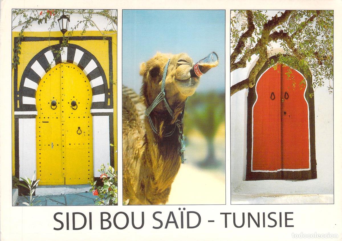 Postais: Postal Tur&iacute;stica de Sidi Bou Sa&iuml;d T&uacute;nez con Camello y Puertas
