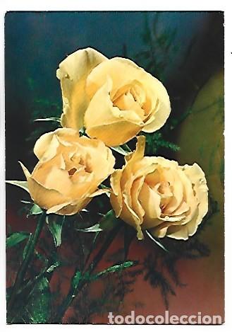 Postales: CENTRO DE ROSAS AMARILLAS