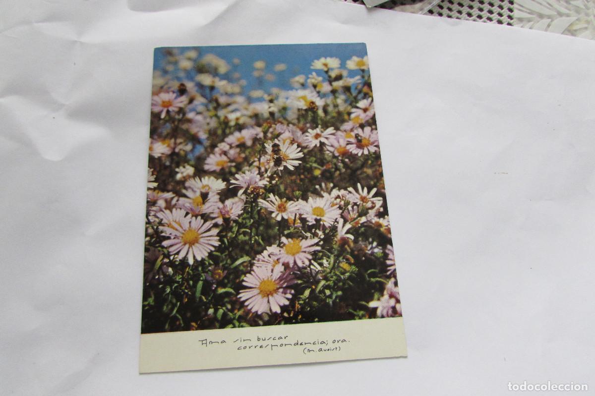 Postales: AFA 612 AMA SIN BUSCAR CORRESPONDENCIA..