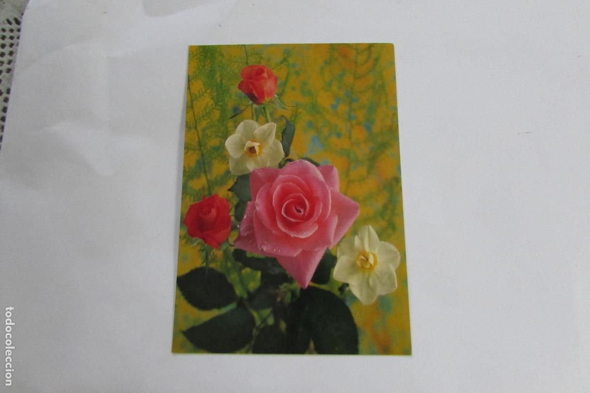 Postales: POSTAL ROSAS CyZ 7518/31-D ESCRITA