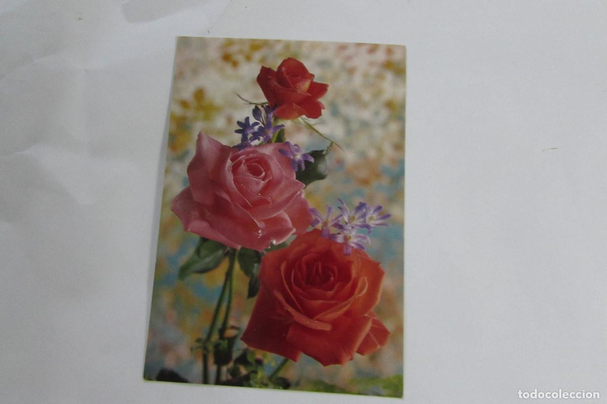 Postales: POSTAL ROSAS CyZ 7467/31-A ESCRITA