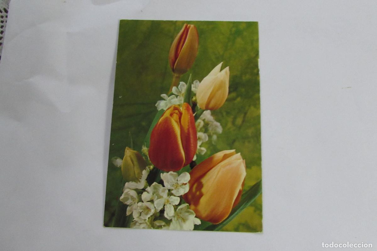 Postales: POSTAL ROSAS CyZ 7458/31-A ESCRITA