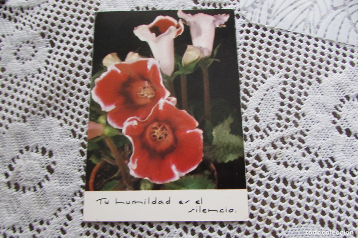 Postales: POSTAL ROSAS AFA 574 - Foto 1