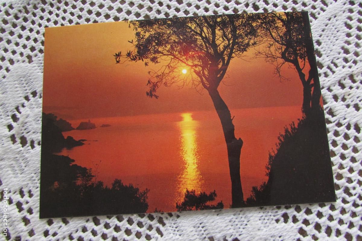 Postales: PUESTA DE SOL, EDICIONES SAVIR N&ordm; 2036 - SIN CIRCULAR - Foto 1