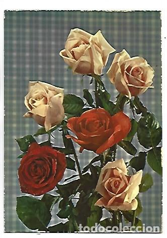 Postales: CENTRO DE ROSAS ROJAS Y AMARILLAS - Foto 1