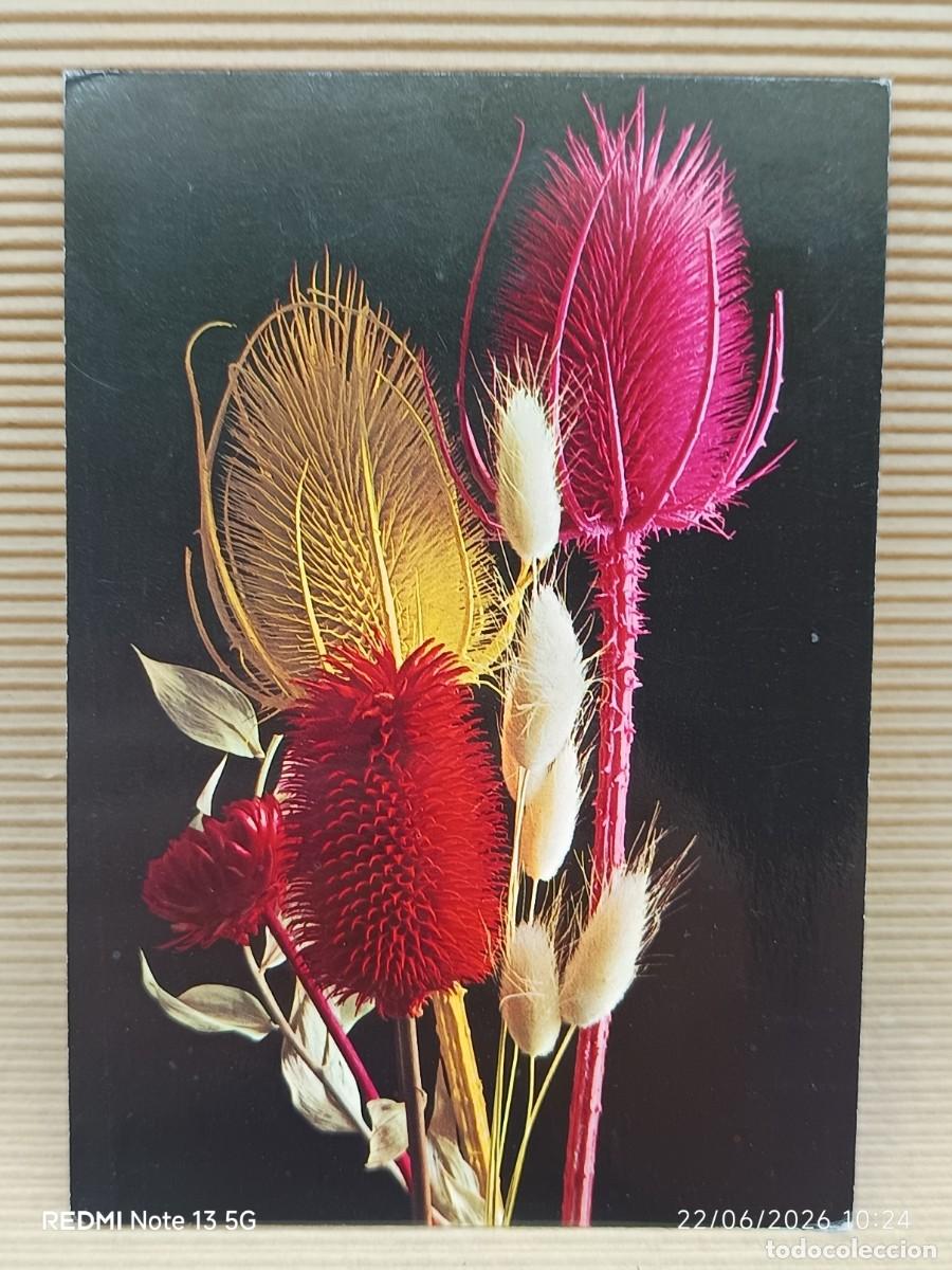 Cartoline: POSTAL FLORES, CIRCULADA