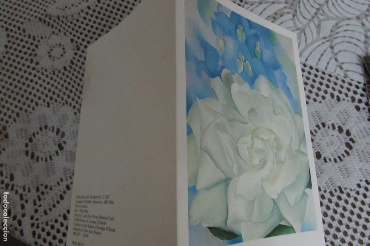 Postales: WHITE ROSE WITH LARKSPUR NO 2 ESCRITA - Foto 1