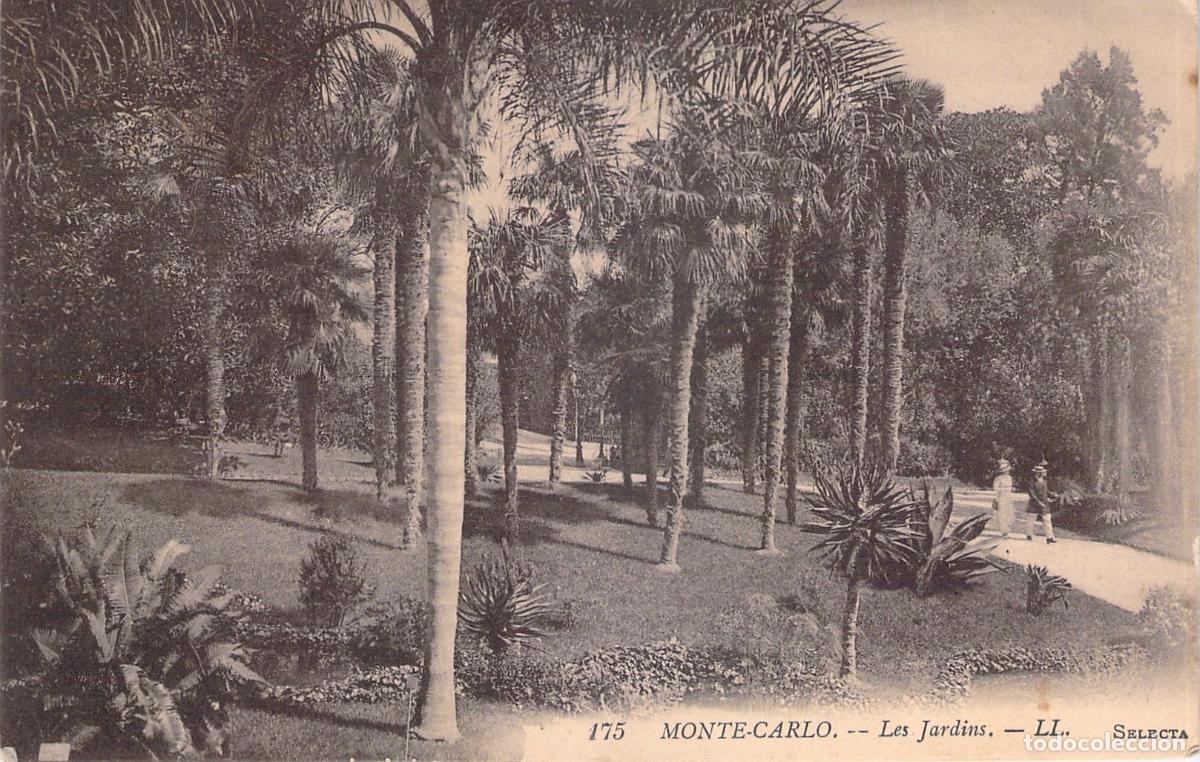 Cartes Postales: Postal de los Jardines de Monte Carlo con Palmeras