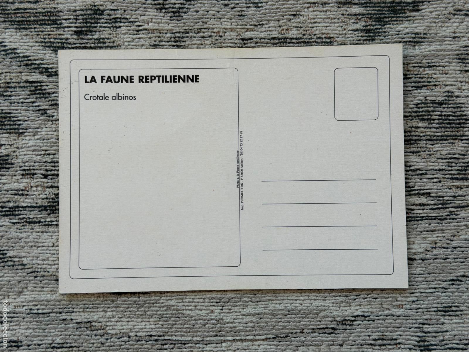 Postales: POSTAL LA FAUNE REPTILIENNE CROTALE ALBINOS - Foto 2
