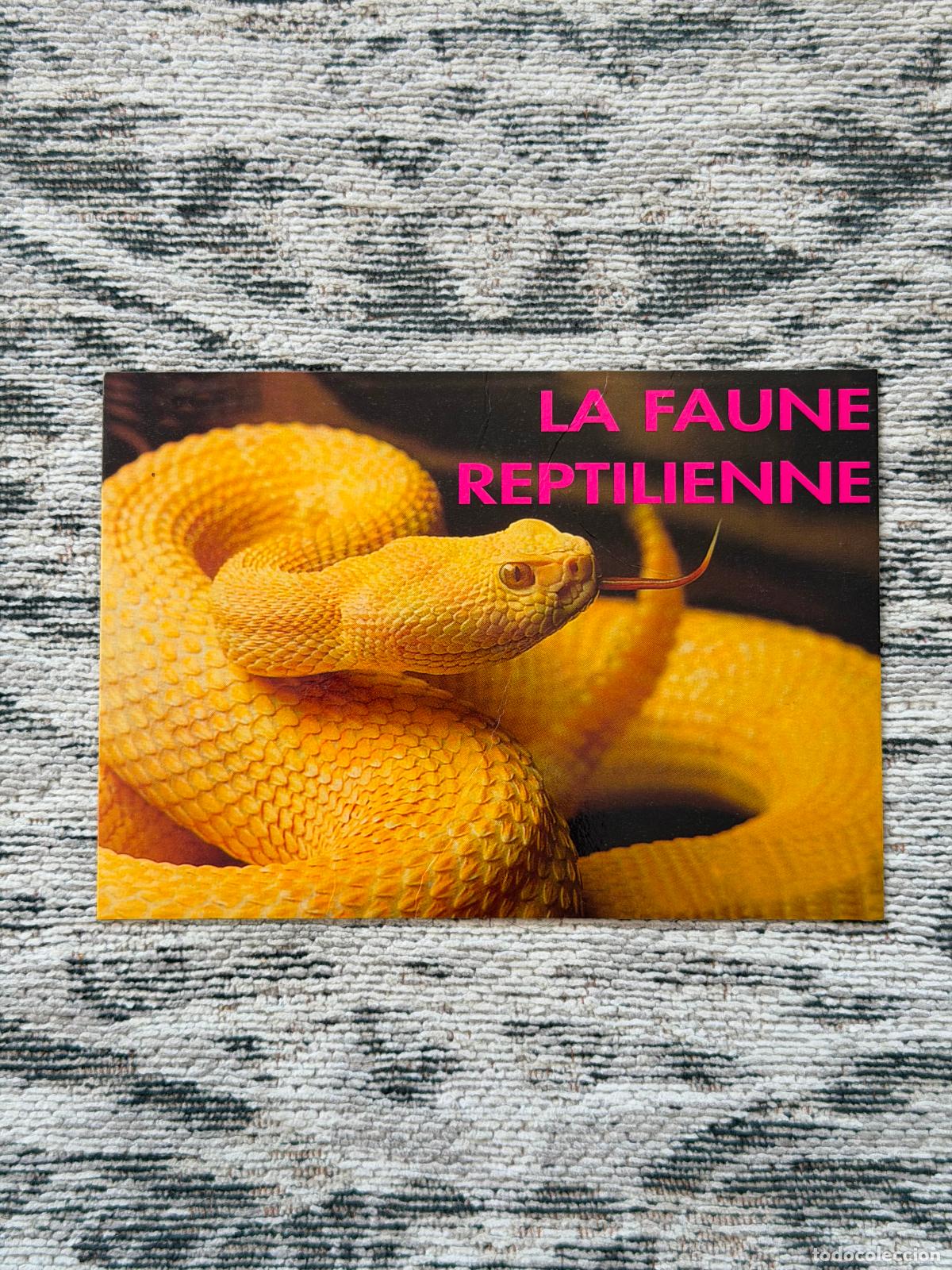 Postales: POSTAL LA FAUNE REPTILIENNE CROTALE ALBINOS - Foto 1