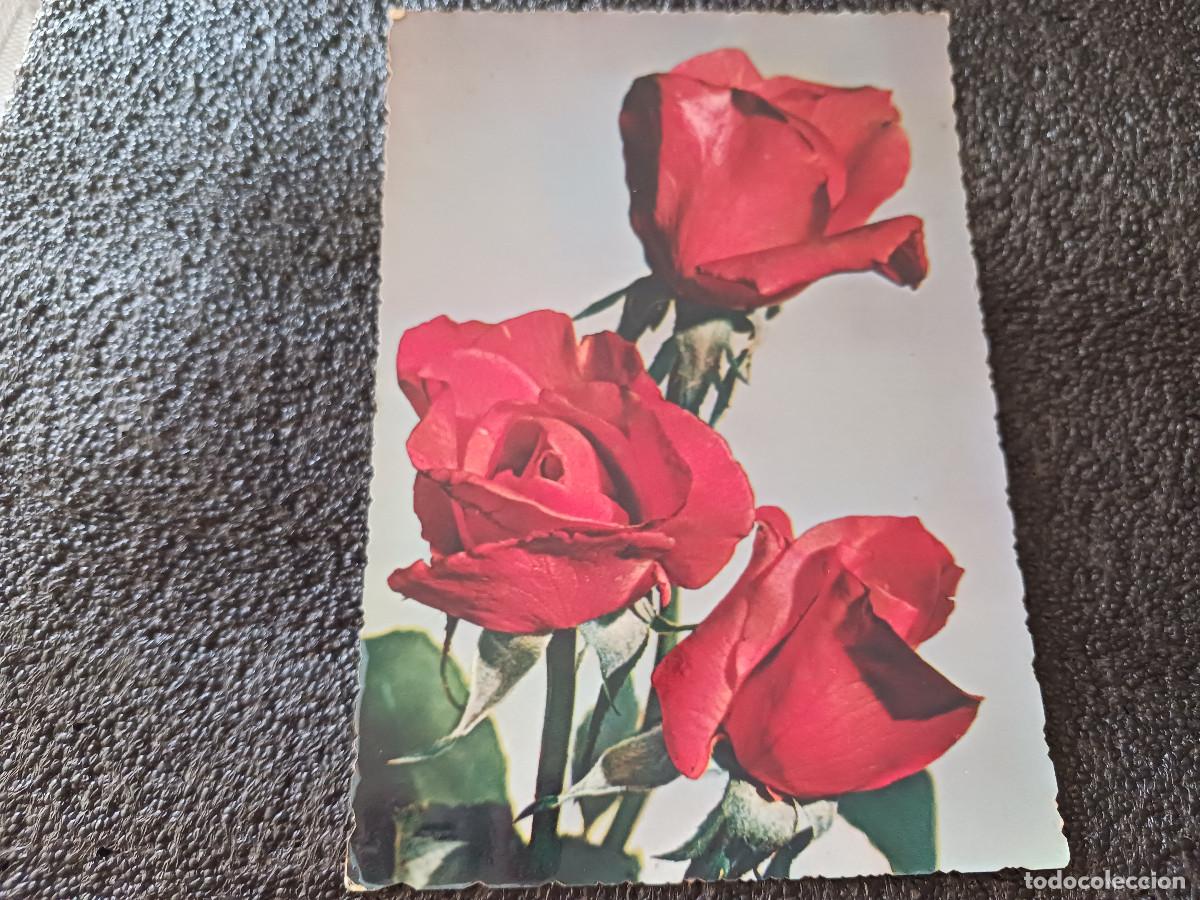 Postales: tres rosas, cecami 290 - Foto 1