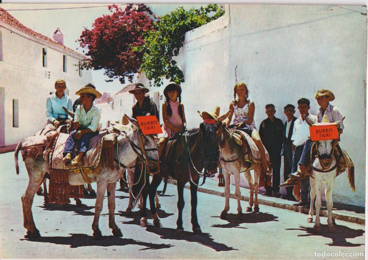 Postales: PARADA DE BURROS T&Iacute;PICOS - BURROS TAXI - ED.PERGAMINO N&ordm;5035 - S/C