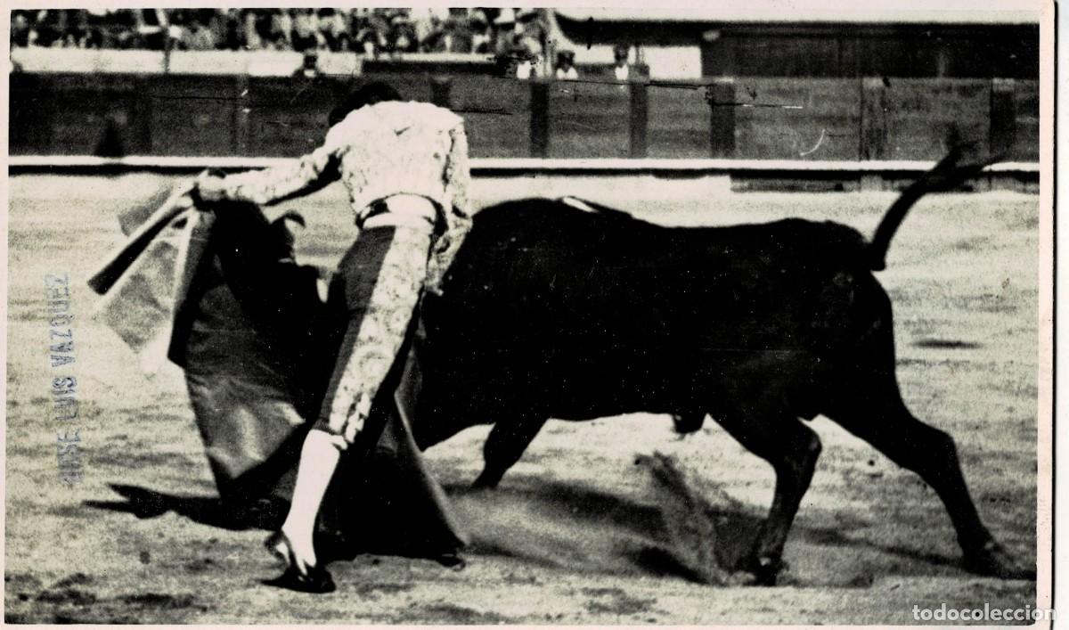 Postales: POSTAL TAURINA. JOSE LUIS VAZQUEZ. P-TOR-461
