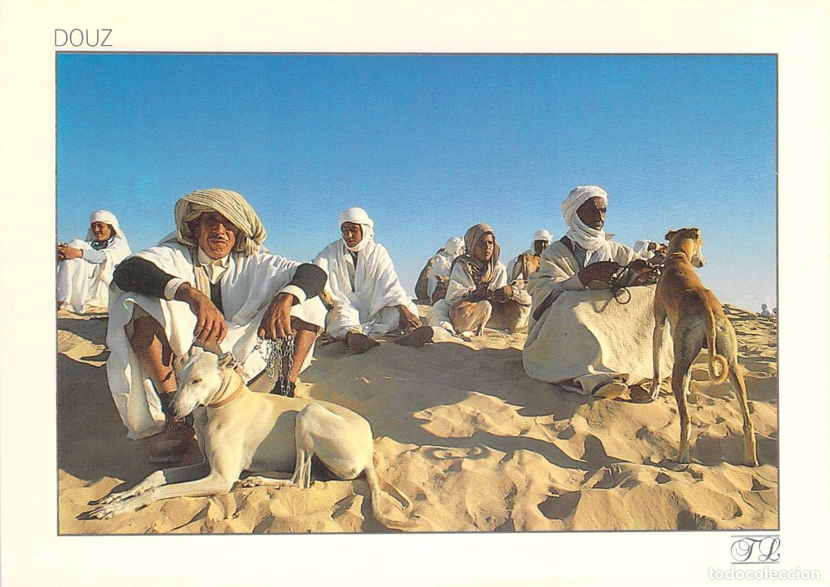 Postais: Postal de T&uacute;nez: Hombres y Perros Sloughi en el Desierto de Douz