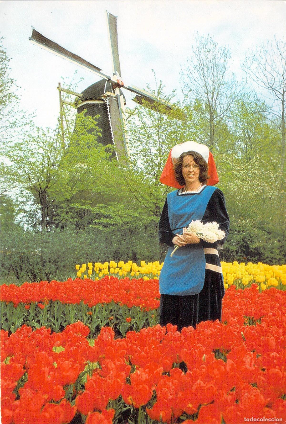 Postais: Postal Keukenhof Lisse Holanda con Molino y Tulipanes