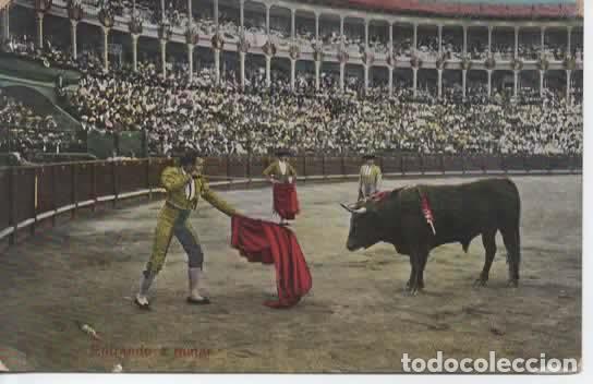 Postales: ESPA&Ntilde;A TOROS TORERO SIN ESCRIBIR - Foto 1