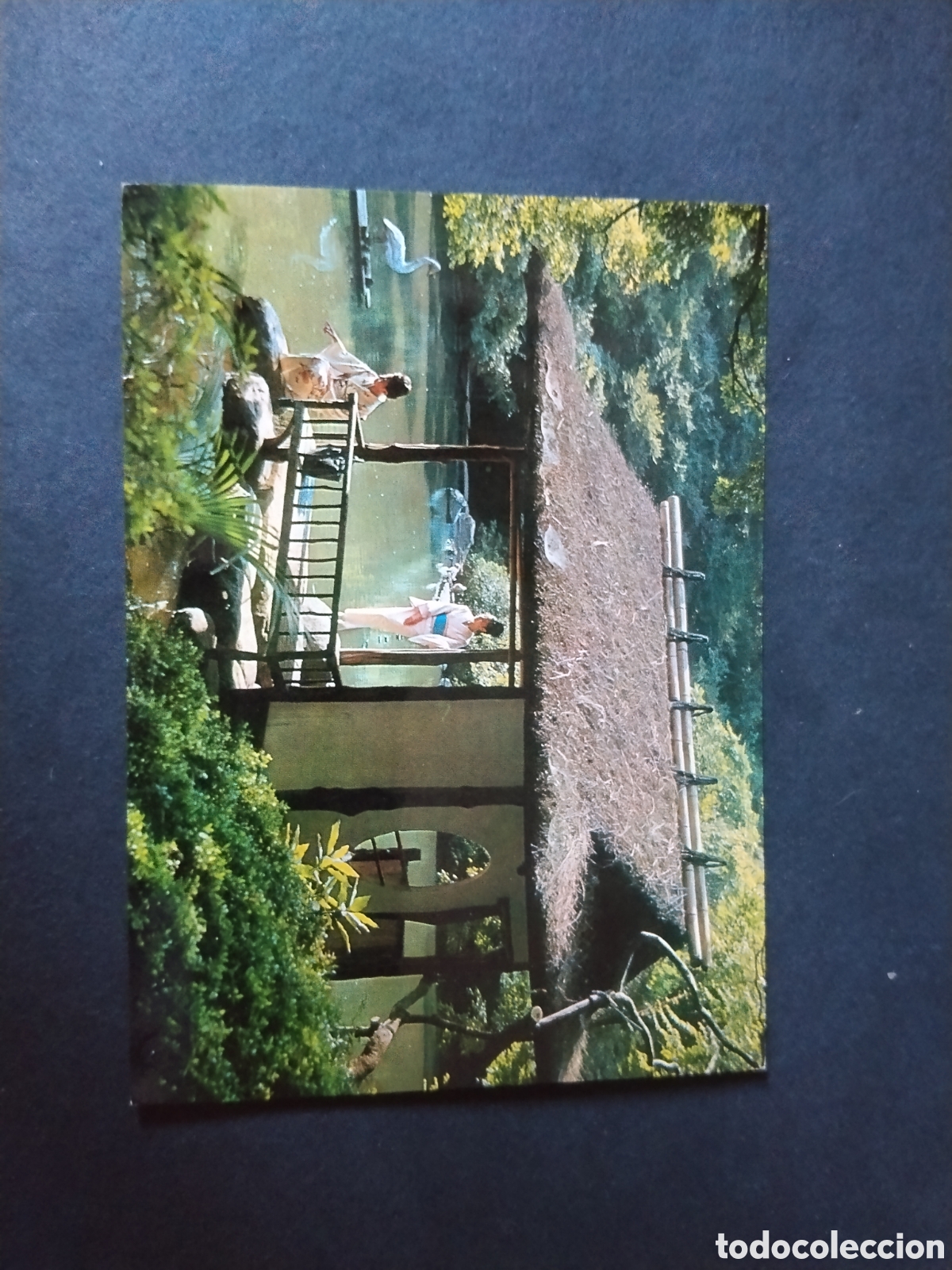 Postales: Postal Japoneses girls in kimono at &rdquo;Azumaya&rdquo;