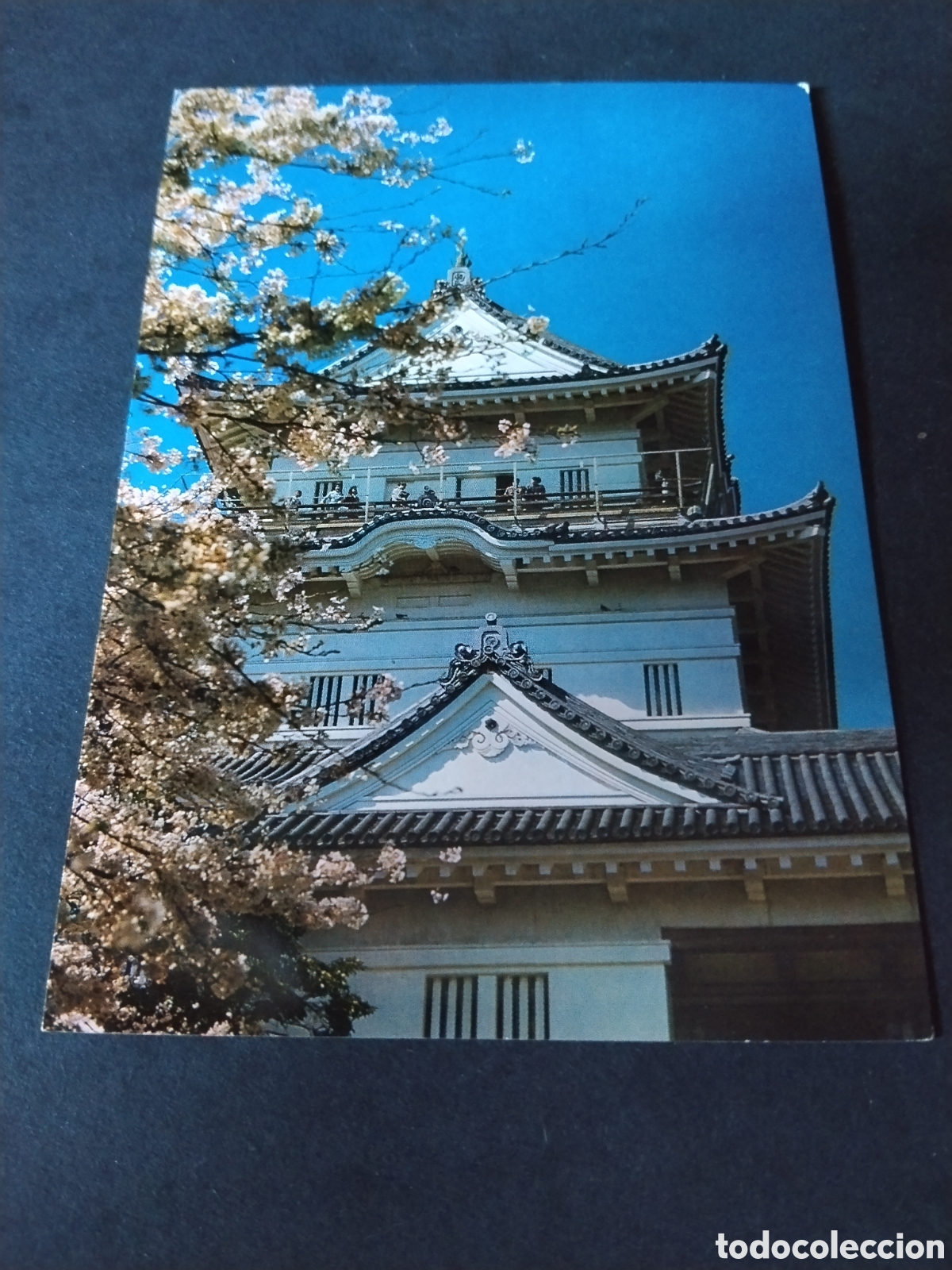 Postales: Postal Odawara Castle Cherry blossom in full bloom : National Park Hakone.