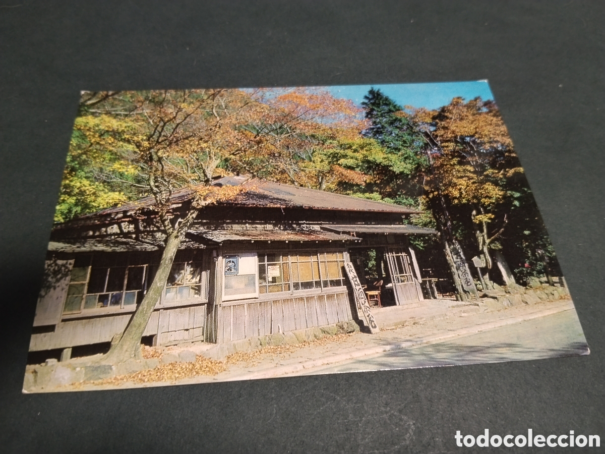 Cartes Postales: Postal Amasakechaya : National Park Hakone.