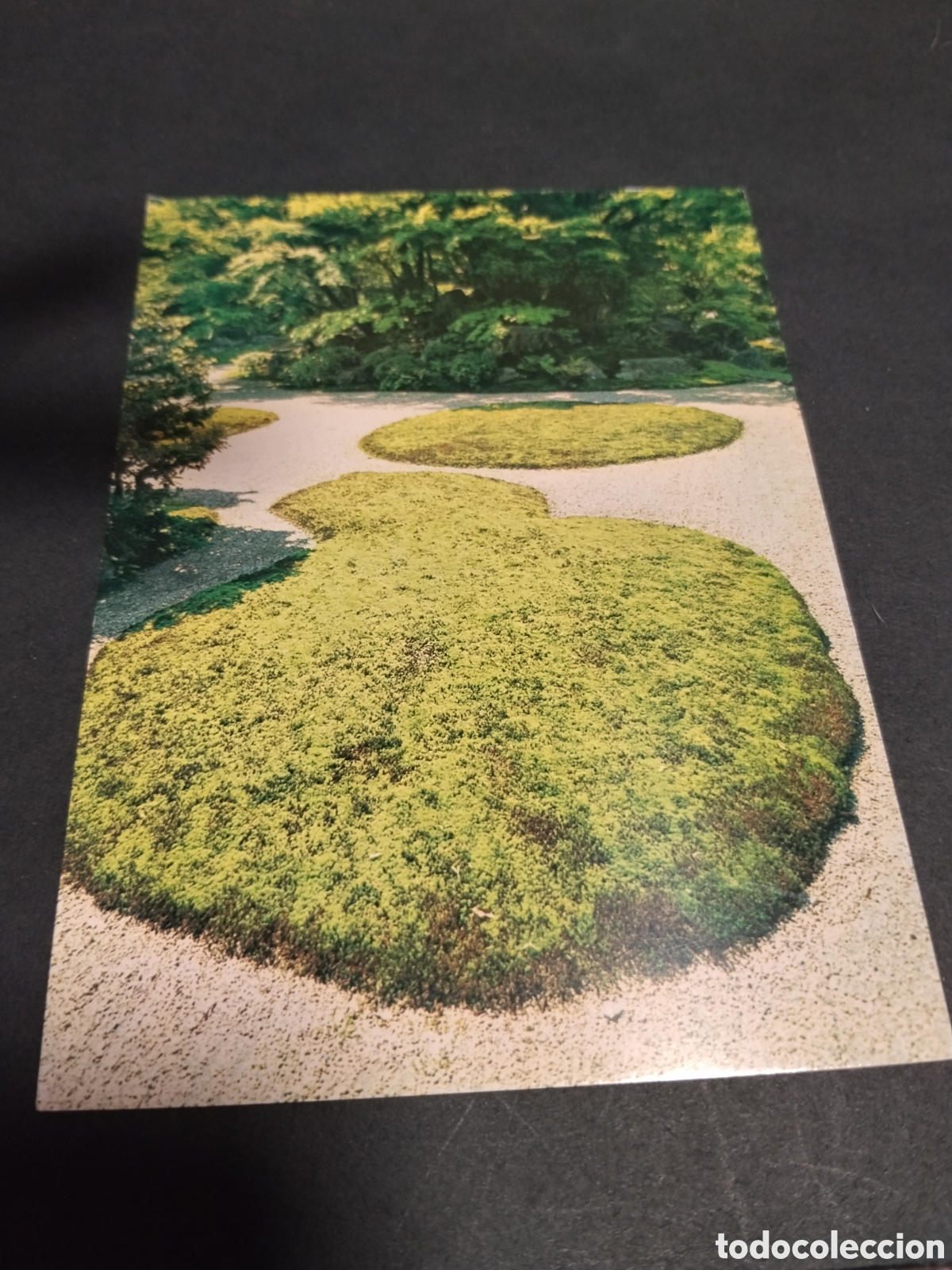 Postcards: Postal Garden of Sanbo-in