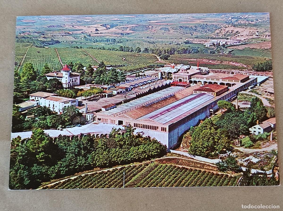 Postales: Postal a&ntilde;os 60 cavas Codorniu - Foto 1