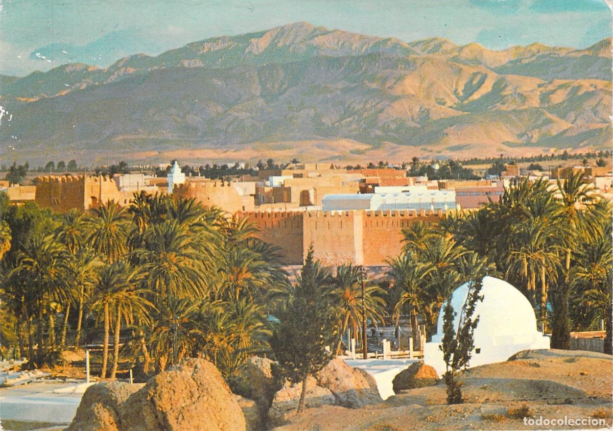 Postcards: Postal de Gafsa T&uacute;nez Vista del Oasis con Palmeras y Monta&ntilde;as