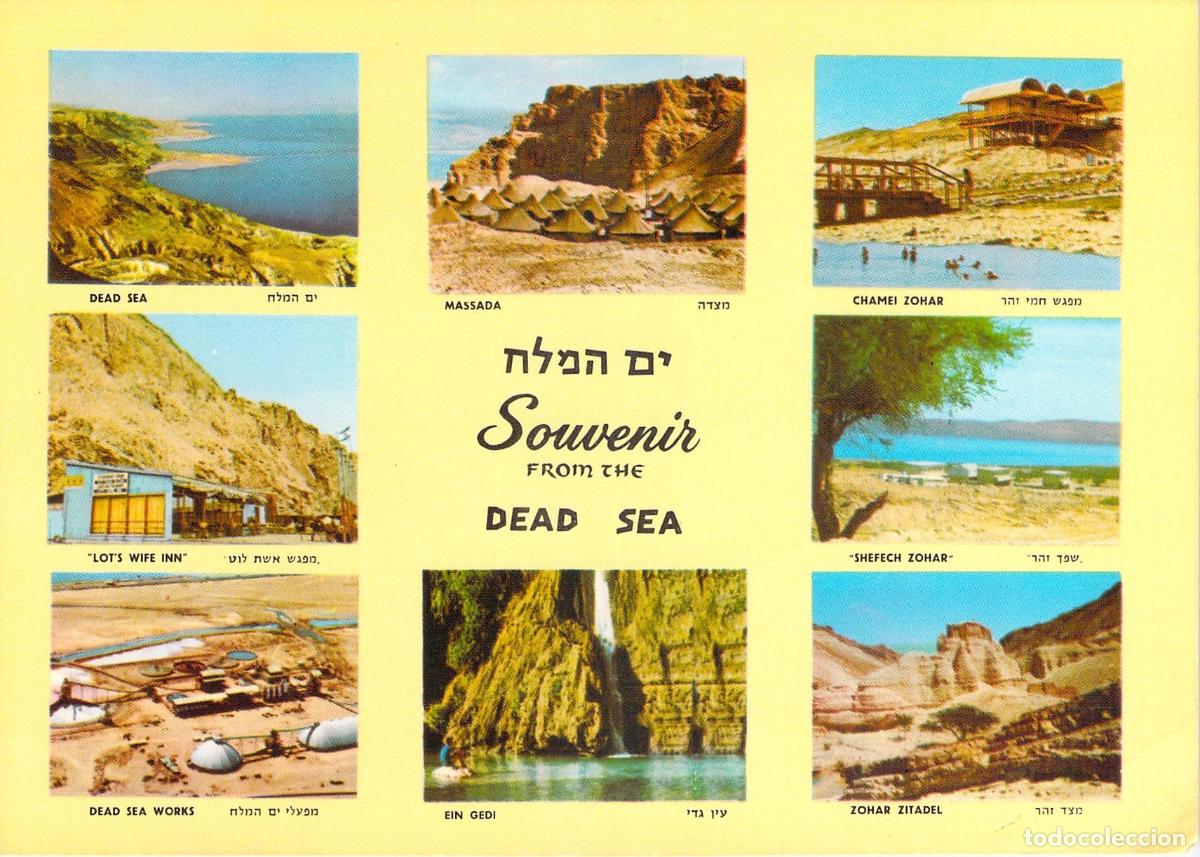 Postales: Postal de Recuerdo del Mar Muerto con Vistas de Masada y Ein Gedi