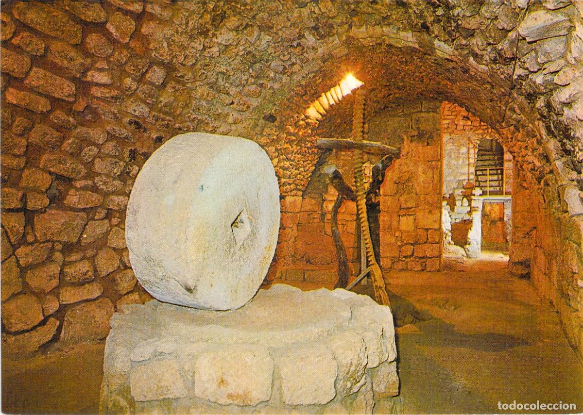 Postales: Postal Prensa de Aceite de Oliva Hist&oacute;rica en Betania