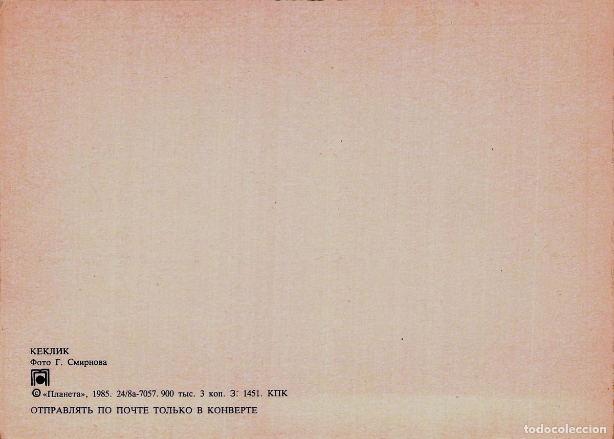 Postales: Postal de Ave Perdiz Chukar Keklik de la URSS - Foto 2