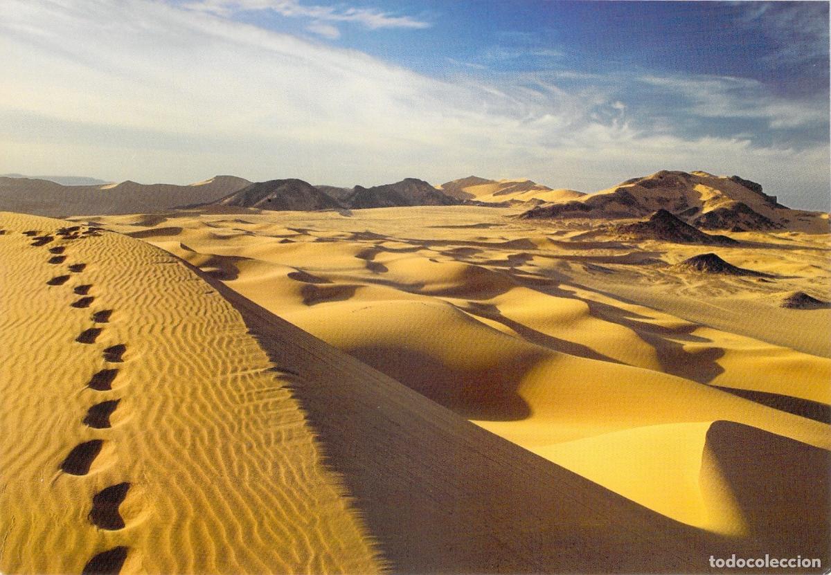 Postales: Postal del Desierto de Libia con Dunas de Arena y Huellas