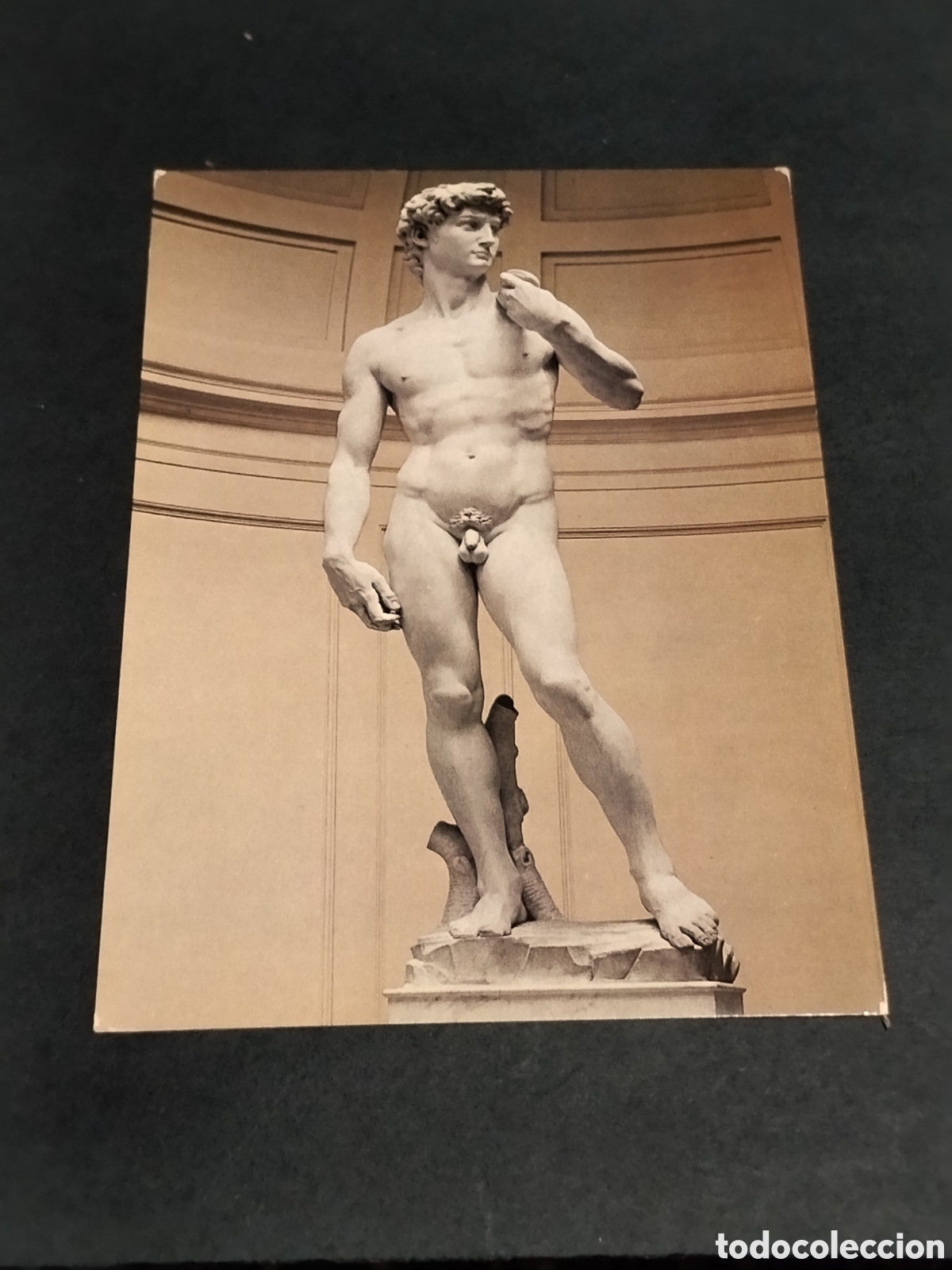 Postales: Postal Firenze Galleria dell'Accademia - ll David di Michelangelo