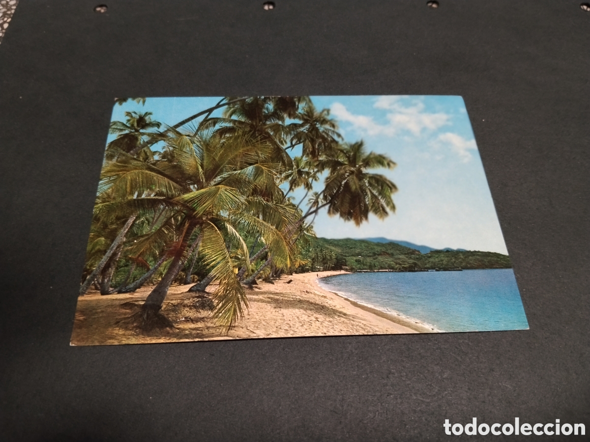 Postales: Postal Playa colorada Venezuela C&ugrave;mana