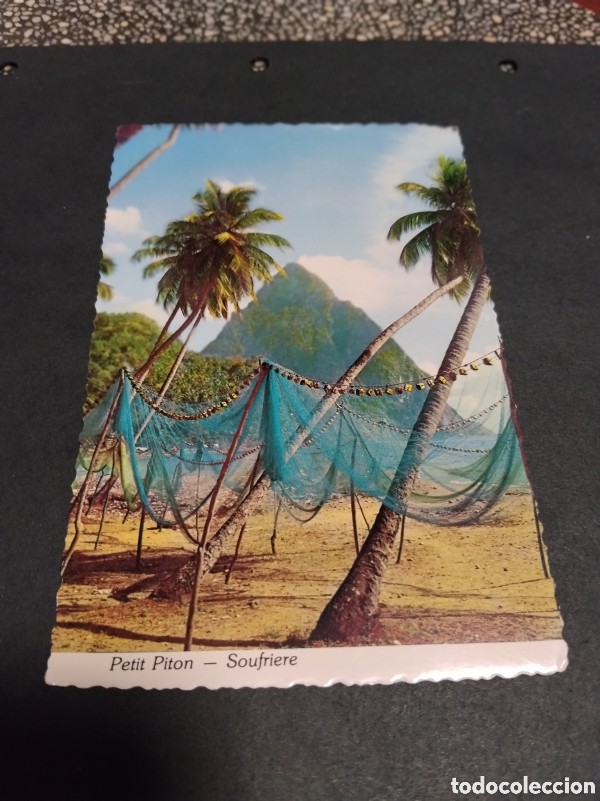 Postales: Postal Petiti Pit&oacute;n ... - Foto 1