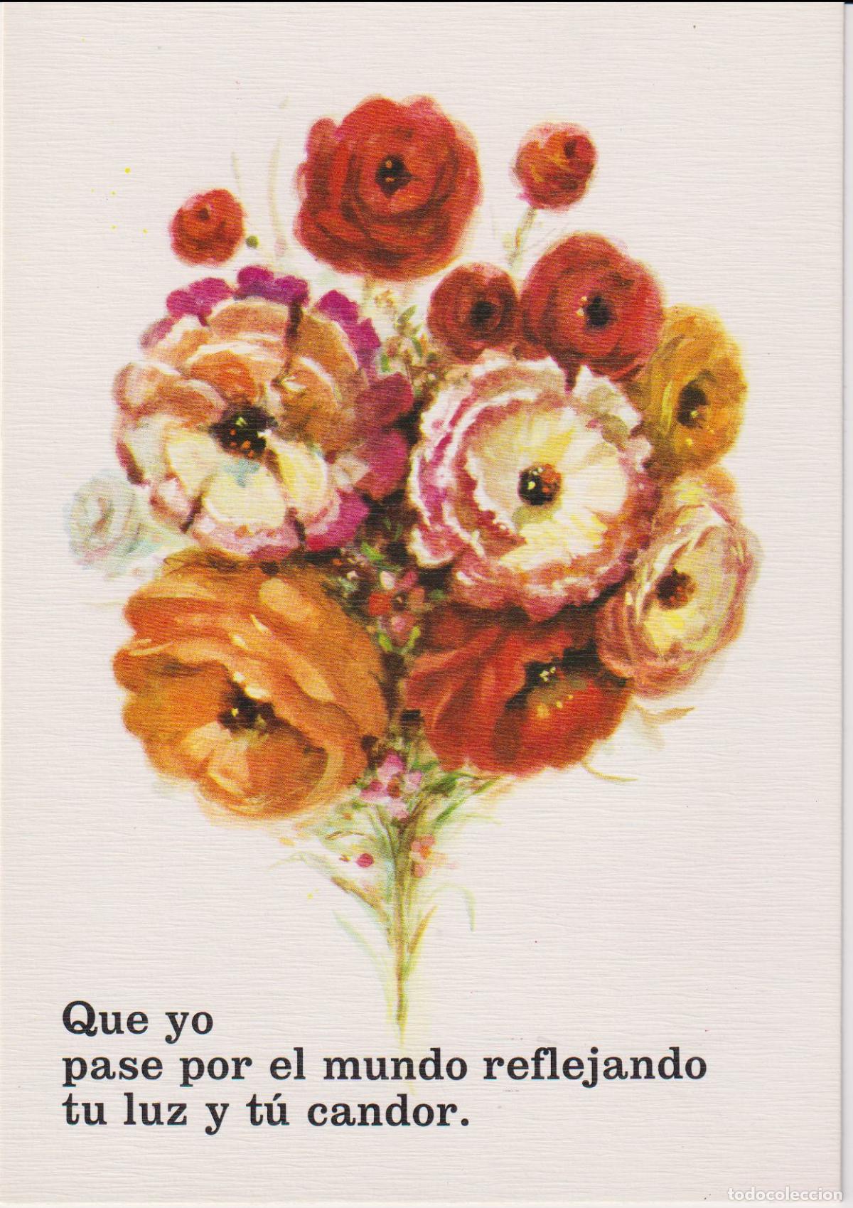 Postales: POSTAL FLORES CON MENSAJE - QUE YO PASE POR EL MUNDO REFLEJANDO TU LUZ.. - ATA F706 - S/C