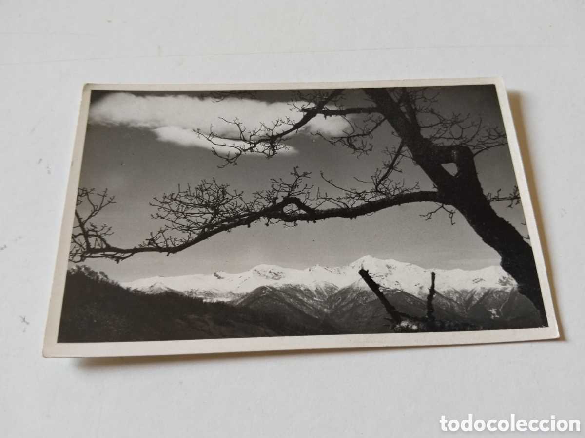 Postales: Postal Paisaje Monta&ntilde;as Nevadas y arboles